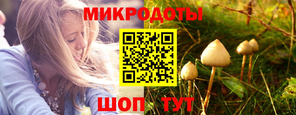 Галлюциногенные грибы Magic Shrooms Полевской